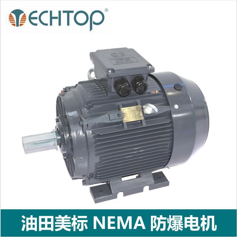 NEMA标准油田防爆电机Class1Div2等级防爆UL/CSA防爆认证