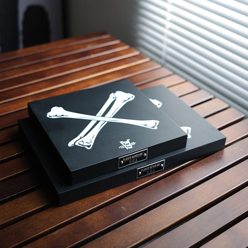 pn块根植物骨头图案展示底座潮流垫板花盆景多肉木摆件