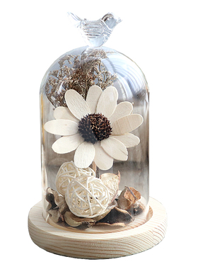 玻璃罩子透明摆件装阳瑰生花干花DIY创意微景观玫永太饰花浆果