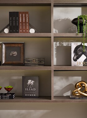 中古风客厅展示储物柜电视柜软装氛围布置金色豹子摆件雕塑装饰品