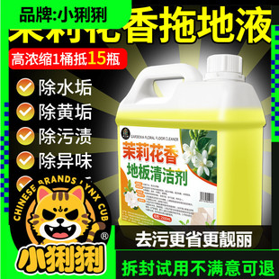 拖地专用清洁液持久留香木地板瓷砖清洁剂不留水印强力清洁剂