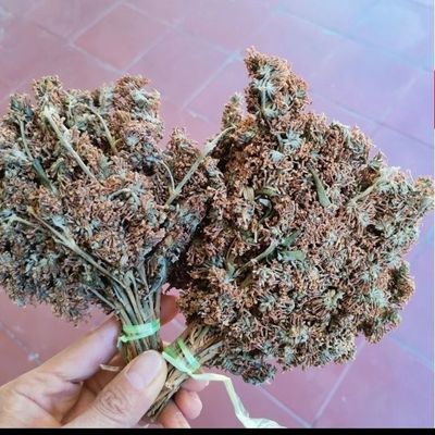 云南德宏特产染饭花五色糯米饭黄饭花天然色素密蒙花