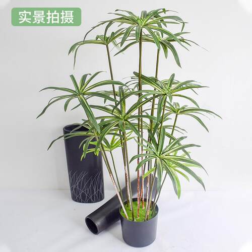 仿真盆SY068竹子盆栽人造竹子景室真内庭院商场餐厅装饰摆仿风件