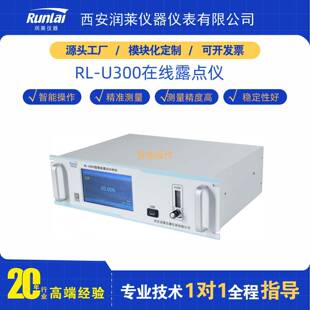 润莱微量水分检测仪智能测量精度高在线露点仪五氧化二磷分析仪