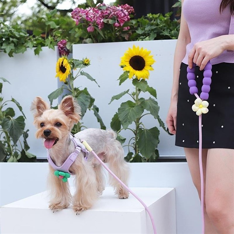 狗狗胸背胸背带牵引绳狗绳背心式狗背带遛狗宠物小型犬比熊泰迪