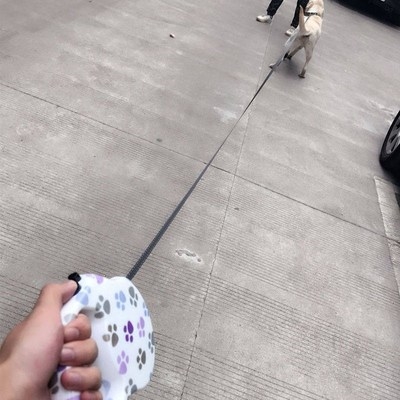 6米可选狗狗牵引绳自动伸缩狗链泰迪小型中型犬狗绳子宠物用品