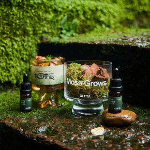 Laza岚庄林间松木香薰礼盒扩香石晶石摆件生日礼物送闺蜜男女朋友