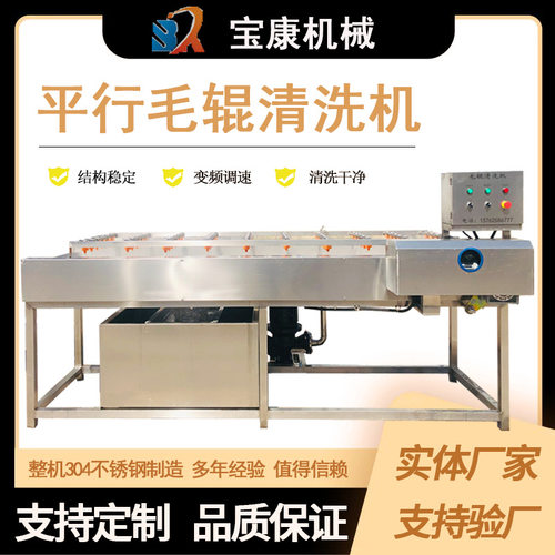 白萝卜平行毛辊清洗机 海蛎子毛刷清洗机 牡蛎毛辊清洗设备