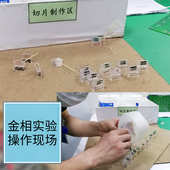 金相冷镶嵌模具扁形长方形孔水晶模子一次性切片模具透明切片治具