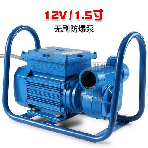 电动抽油泵12v24v220v防爆导油卸油泵大流量柴油汽油油罐车加油机
