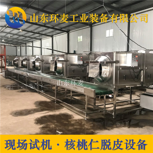 300L琥珀核桃仁设备 全套琥珀核桃仁机器厂家 山东环麦