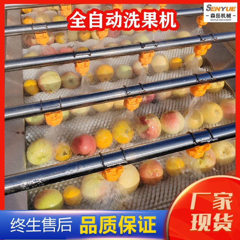 商用全自动毛辊清洗机水蜜桃毛刷清洗机设备帝王杏去杂毛辊洗果机