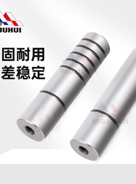 SGPN轴承钢卸料板直杆攻牙无头精密模具无肩内导柱导套无油槽SGON