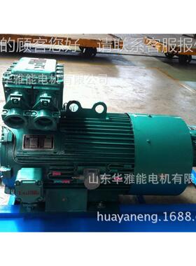 YTSP225M-8-22W电机IP66防护等级YSP等级B35标准双伸轴415V/50HZ