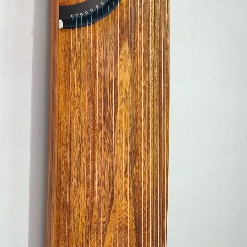 古筝初学入门125/儿童成人新手桐木贝雕21弦小孩可携式迷你小古筝