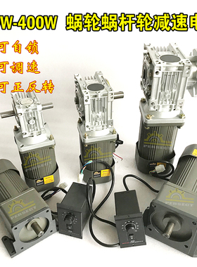 PERSECT 减速机带电机蜗轮减速机大扭矩交流220v低速380V双轴电机