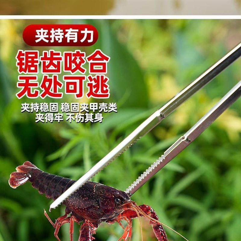 新款不锈钢防滑黄鳝夹子鳝鱼夹泥鳅螃蟹龙虾夹赶海神器火钳垃圾夹