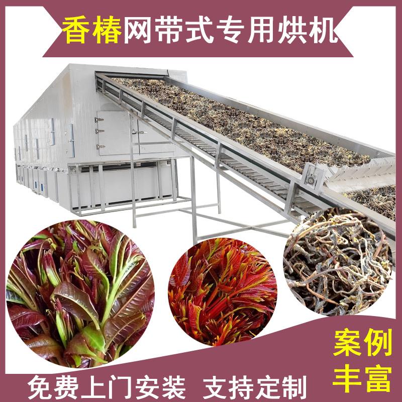 网带式香椿烘干机香椿芽酱菜香椿铃智能控温烘干房香椿子风干机