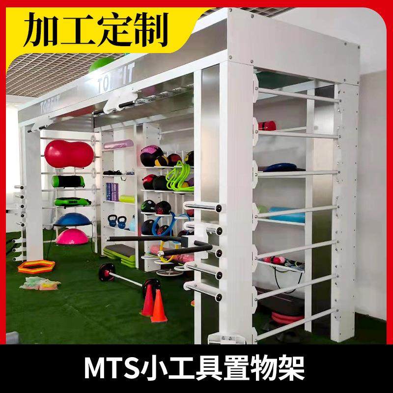 健身房综合置物架药球架波速球架哑铃架私教小工具小器械架