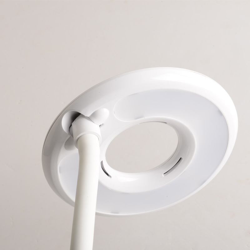 美容美甲冷光台灯美睫纹绣无影LED护眼充插两用充电台灯