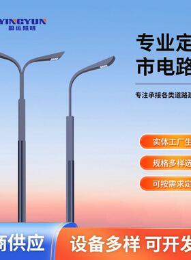 市政工程LED路灯220V6米8米0米户外防水新农村高杆市电路灯