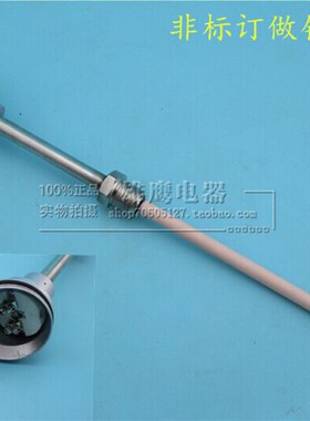 S型铂铑热电偶 WRP-130/230 耐高温刚玉管热电偶 温度传感器B/R