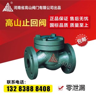 软密封法兰止回阀DN253240 25升降式 高山牌四氟密封止回阀H41F