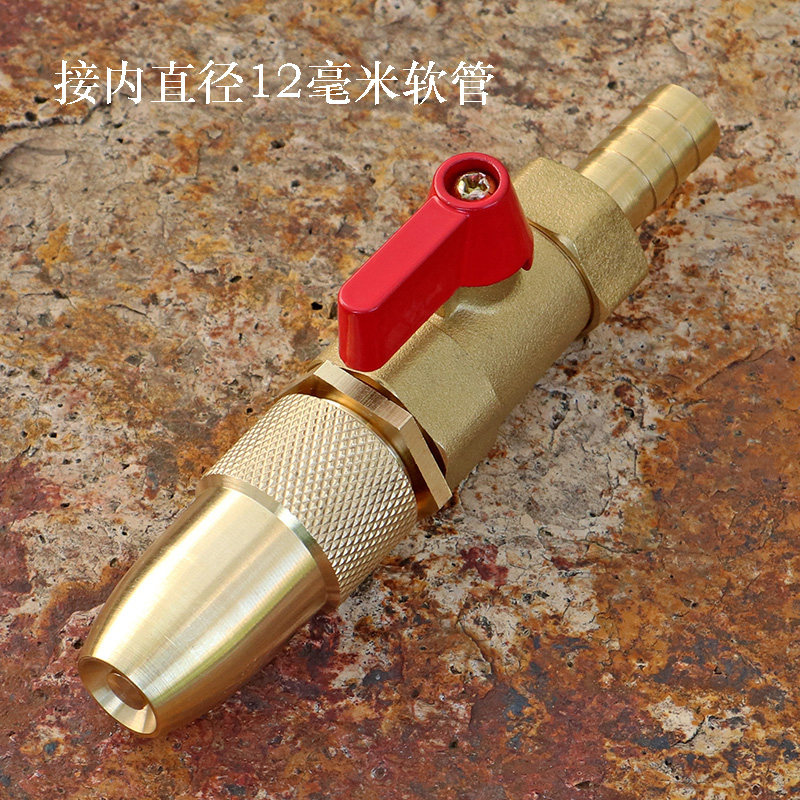 水兔尔家用全铜可调直射花洒软管接头高压喷头洗车神器浇花水枪