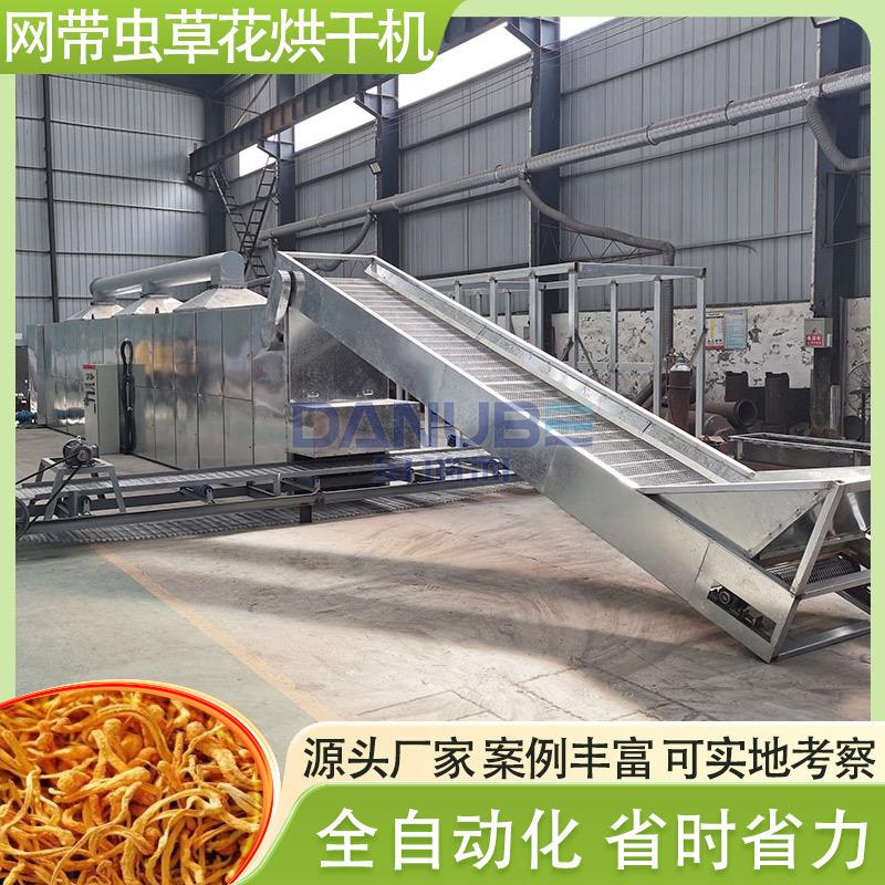 虫草花带式烘干机全自动蛹虫草北虫草烘干设备北冬虫夏草干燥机
