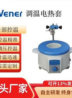 PTHW-100ml调温电热套电加热套调温恒温加热套加热套电热套
