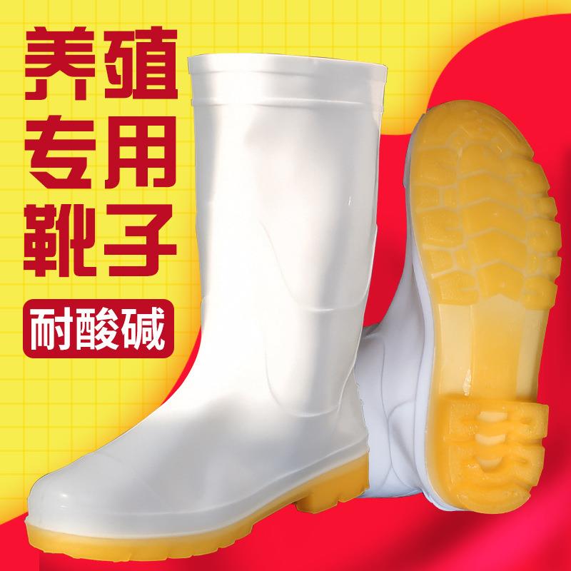 防滑养殖场靴子大码白色雨鞋食品厂工作雨靴卫生靴防油水鞋耐酸碱