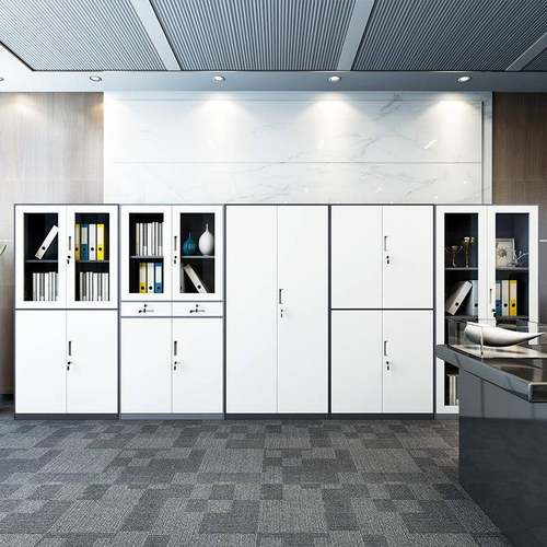 窄边办公文件柜资料柜钢制铁皮储物柜带锁凭证柜档案柜办公柜