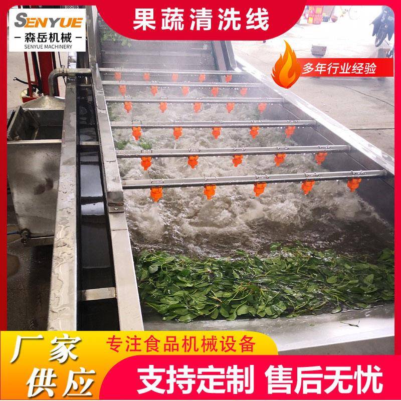 工厂用果蔬气泡清洗机芦笋气泡清洗机设备木耳菜鼓泡翻浪清洗机