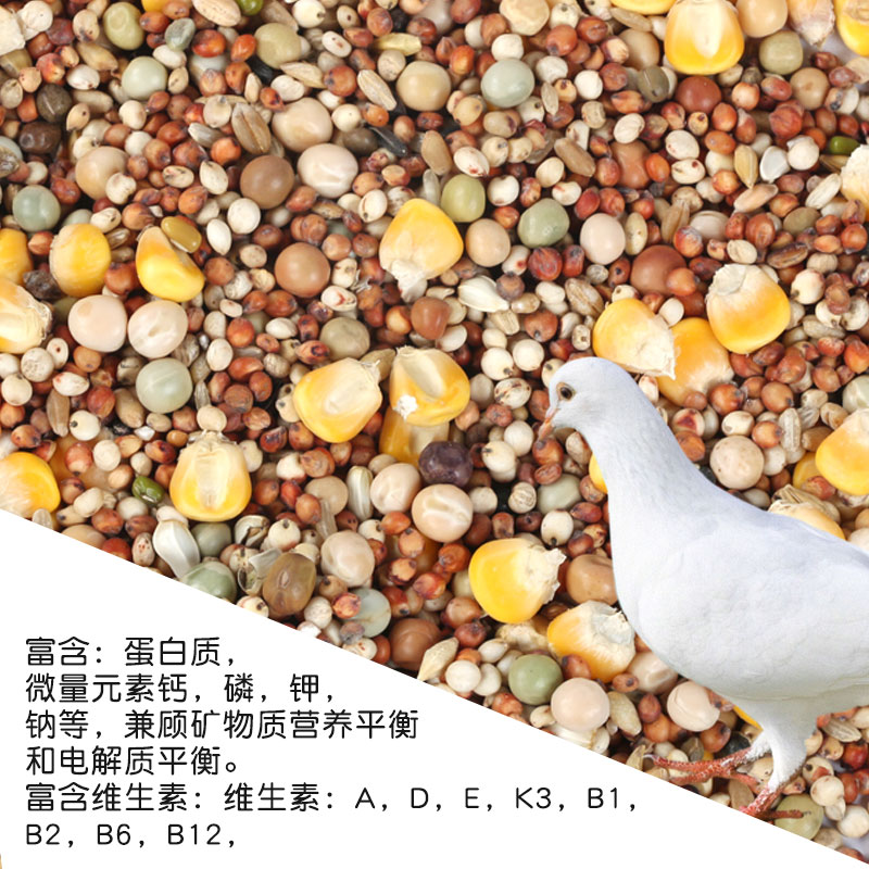 鸽粮5斤鸽子饲料50鸟食信鸽幼鸽高粱小麦谷子无玉米鸽子粮包10邮