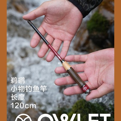 鹈鹕钓小物钓竿儿童鳑鲏马口白条户外短节溪流手竿