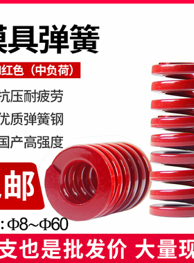 模具弹簧矩形弹簧红色压缩弹簧65MN弹簧 日标强力扁线压簧 TM弹簧