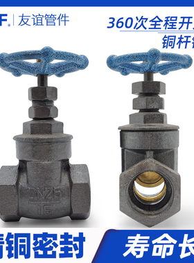 Z15T铸铁闸阀铁6铜芯4分铜杆球墨水开关1寸阀门DN50 40 32 25 20