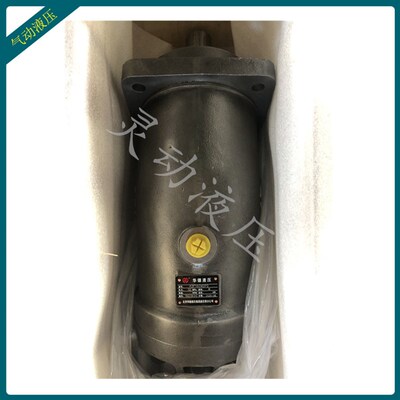 贵州中航力源柱塞泵 A2F107W2P2 液压泵 A2F160W2P2质保一年