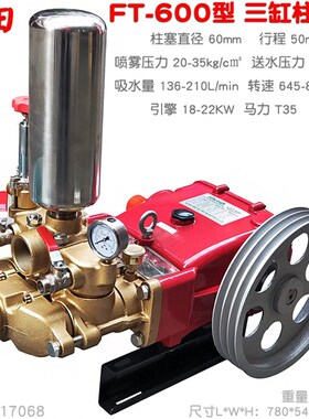 FT丰田150 600型柱塞泵2.5寸出水口高山扬程送水远程大型高压水泵
