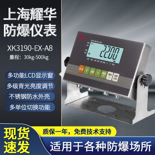 上海耀华XK3190-EX-A8不锈钢本安型防爆仪表防爆电子秤仪表显示器