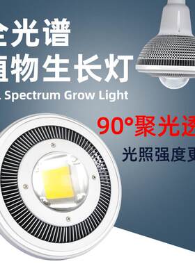 LED全光谱植物生长补光灯室内多肉花卉叶菜草莓鱼缸水草彷太阳光