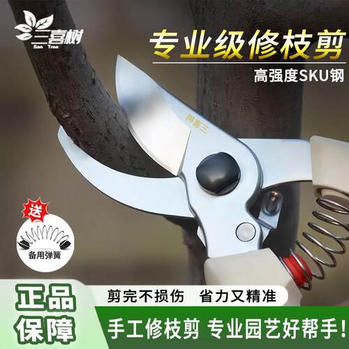 三喜树剪刀修枝剪果树修枝剪剪枝园林花艺修剪树枝剪刀粗大花剪