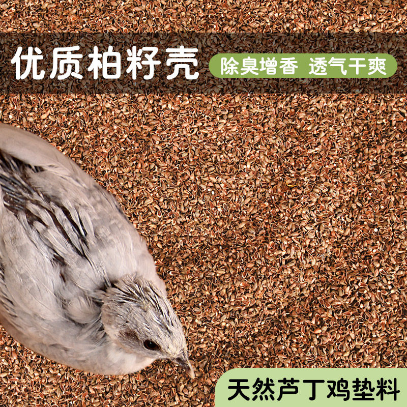 冠之亚柏籽壳垫料芦丁鸡发酵床透气宠物芦丁鸡饲养箱发酵床垫料,宠物/宠物食品及用品,鸟禽垫料,淘宝优惠券,粉丝福利购,淘宝优惠卷