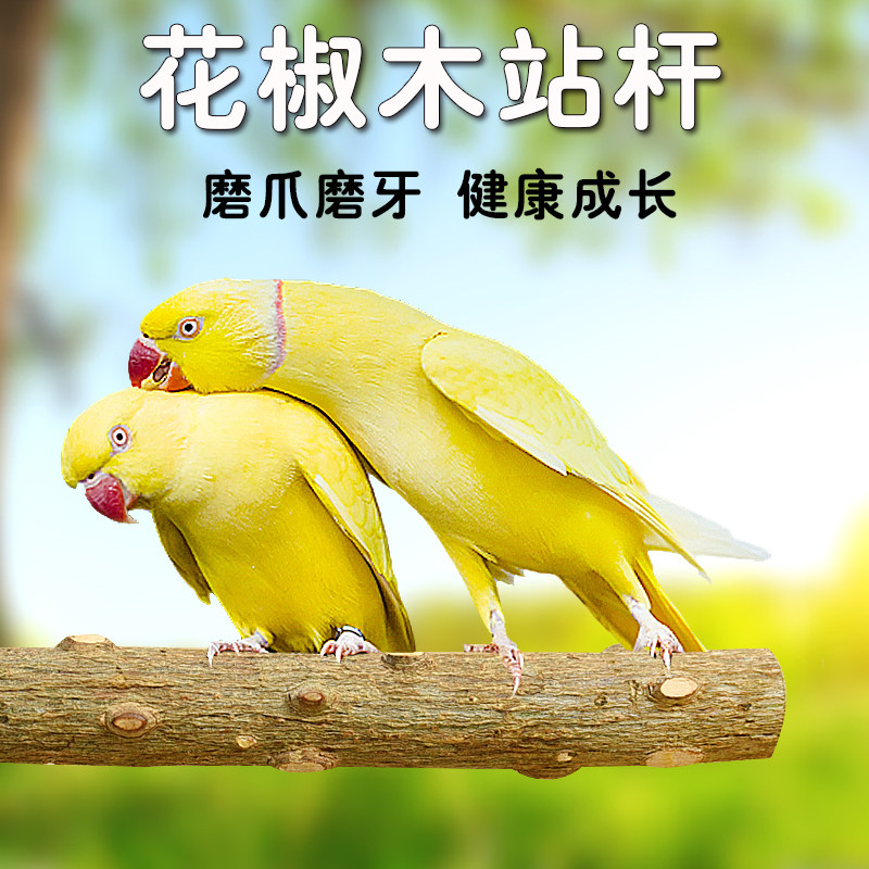 星诺鹦鹉鸟用品站杆花椒木磨爪棒磨嘴站棍鹦鹉八哥鹩哥鸟笼站杆,宠物/宠物食品及用品,鸟禽其他,淘宝优惠券,粉丝福利购,淘宝优惠卷