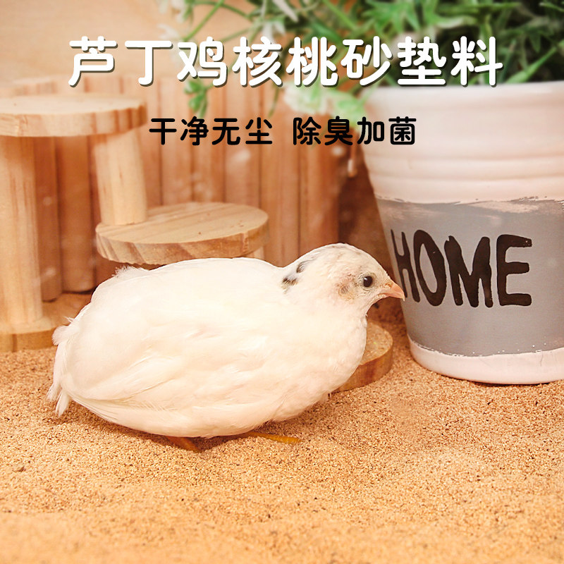 芦丁鸡核桃砂垫料发酵床核桃砂卢丁鸡鹌鹑专用核桃沙木屑吸水颗粒,宠物/宠物食品及用品,鸟禽垫料,淘宝优惠券,粉丝福利购,淘宝优惠卷