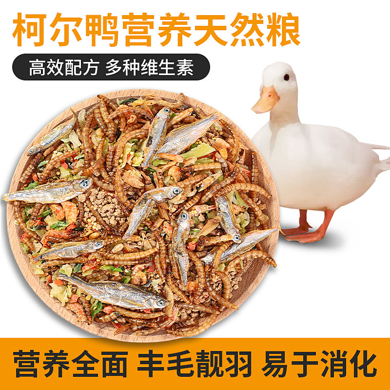 星诺柯尔鸭粮食鱼干颗粒状4L大桶装鸭子鸟食柯尔鸭开口粮混合饲料,宠物/宠物食品及用品,鸟食,淘宝优惠券,粉丝福利购,淘宝优惠卷