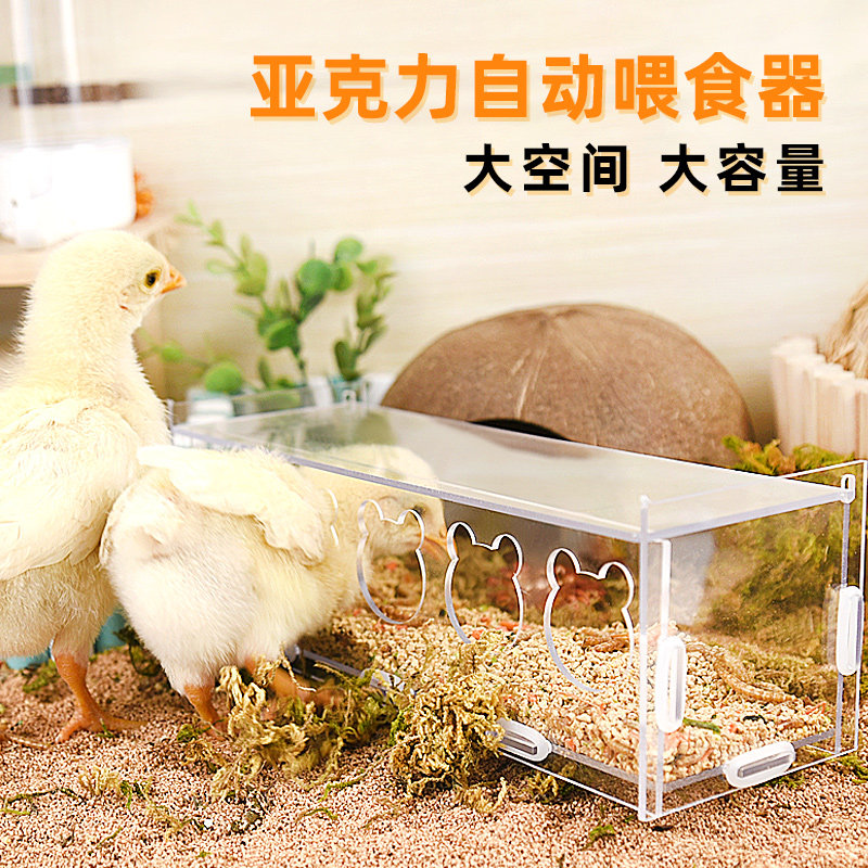 芦丁鸡喂食器自动喂水器小鸡饮水器卢丁鸡鹌鹑食盒育雏饲养放饲料,宠物/宠物食品及用品,鸟禽喂食器/喂水器,淘宝优惠券,粉丝福利购,淘宝优惠卷
