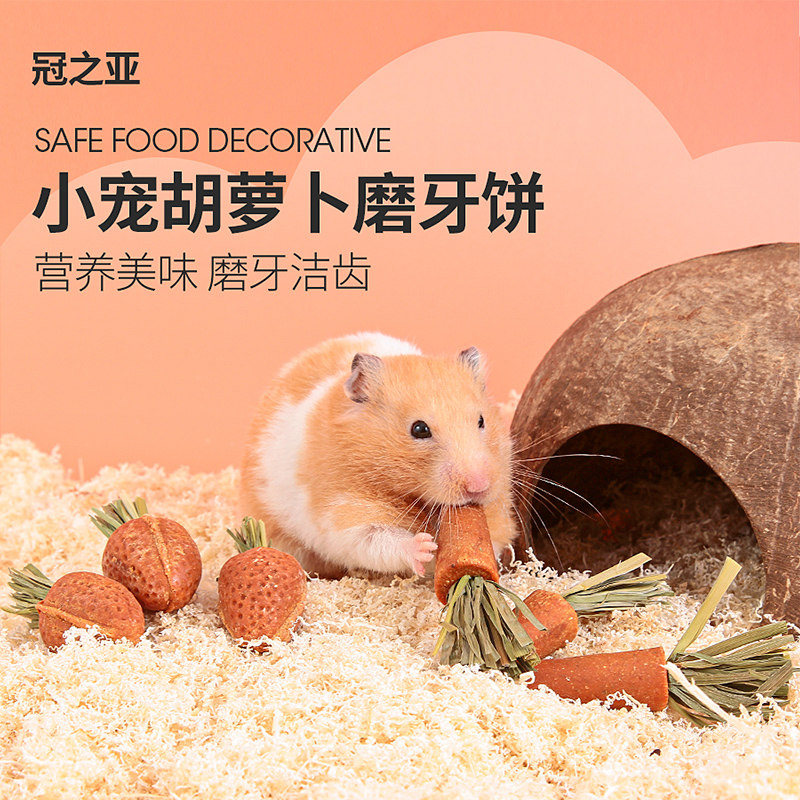 仓鼠磨牙棒可食用胡萝卜金丝熊营养饲料仓鼠专用粮食品小兔子零食,宠物/宠物食品及用品,鼠类零食,淘宝优惠券,粉丝福利购,淘宝优惠卷
