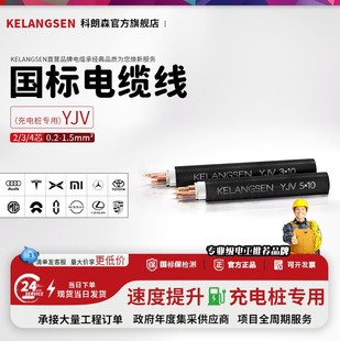 22KV充电桩yjv电缆线3 25平方 5芯6 科朗森国标新能源7