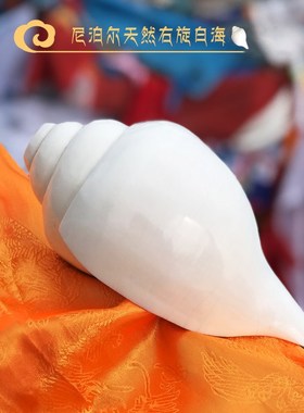 天然右旋七供八供白家居室内摆件